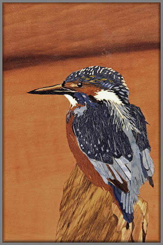 Kingfisher detail view